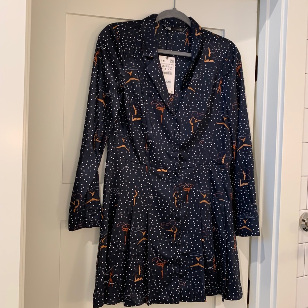 Zara dress